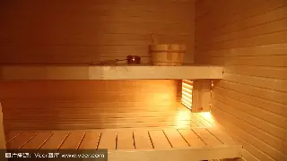 揭秘桑拿起源：从古老文化到现代休闲，桑拿发展史探究 poster