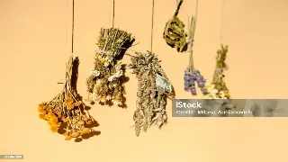 桑拿养生知多少？广州桑拿常识全解析，助你健康焕发! 图片