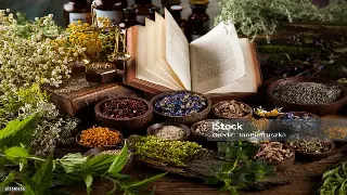 广州桑拿按摩市场观察：行业新趋势与消费者需求分析 图片