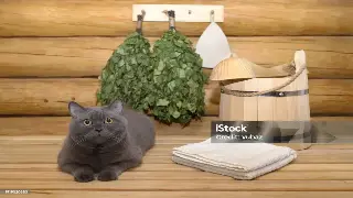 桑拿新趋势：科技赋能，智能体验引领未来养生新潮流 图片