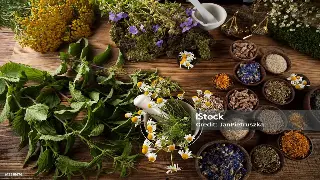 广州按摩名店探秘：不只是放松，更是身心疗愈的艺术！