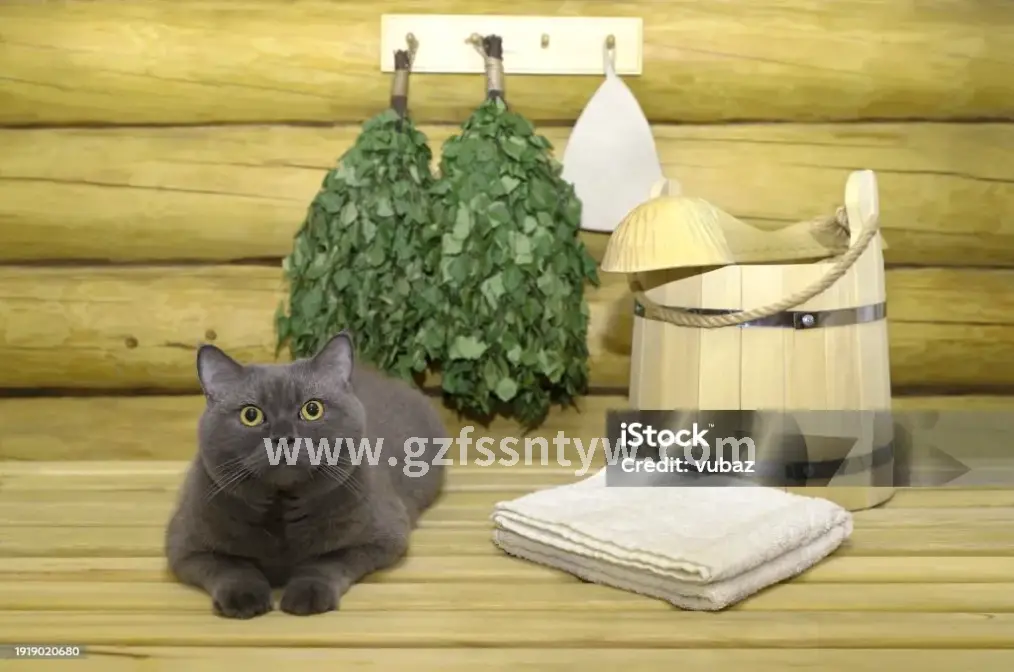 古代桑拿场景想象图