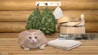 桑拿新风尚：告别千篇一律，拥抱个性化放松体验！ poster